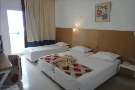 Palmyra Holiday Resort & Spa - Families Only - 12