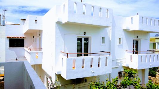 Ibiscus Malia - 16