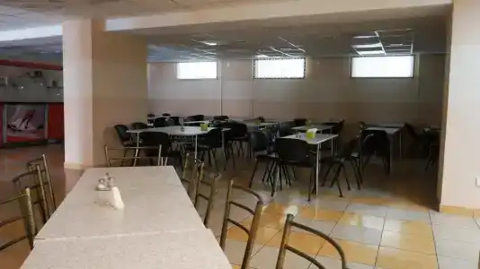 Аист - 15