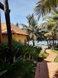 Free Beach Resort - 135