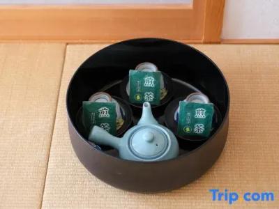 SunShirahama - 52