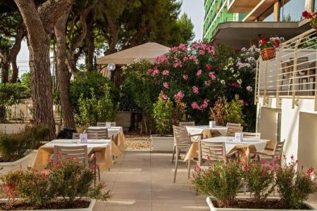 Velia - hotel completamente nuovo a Grottammare - 11