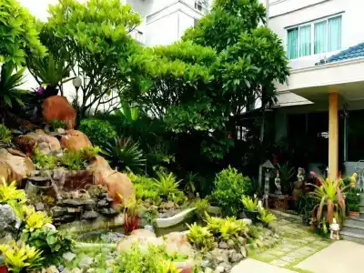 Loei Orchid - 22