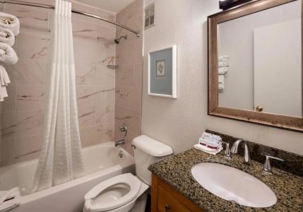 Hyatt Regency - 7