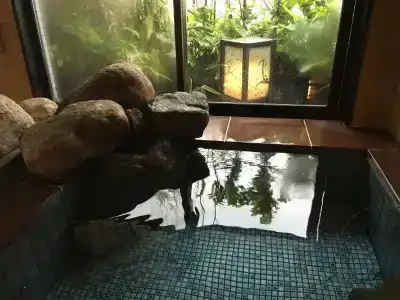 Dormy Inn Kagoshima - 21