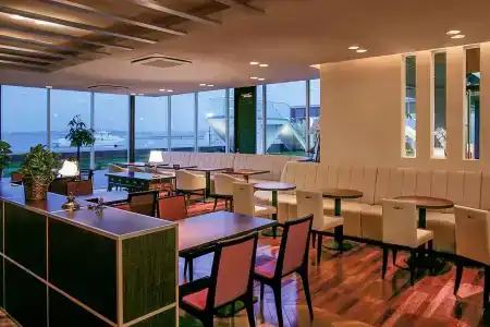 Comfort Central International Airport - 23