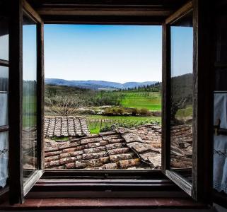 Podere Terreno alla via della volpaia - 13
