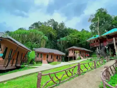 Khaosok Rainforest Resort - 87