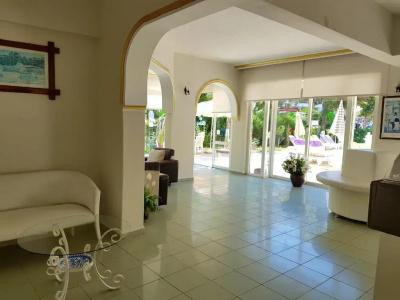 Palmen Apart - 11