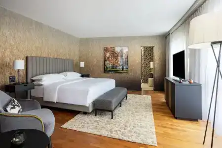 Swissotel Le Plaza Basel City - 135
