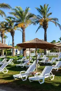 Miracle Resort - All Inclusive - 27