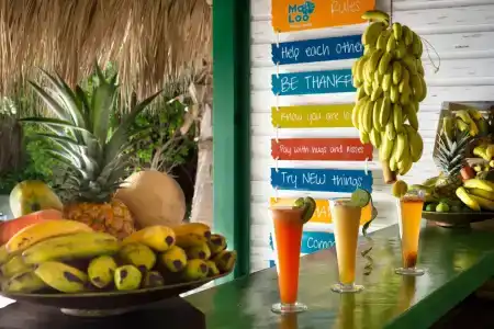 Catalonia Royal Bavaro - All Inclusive - Adults Only - 14