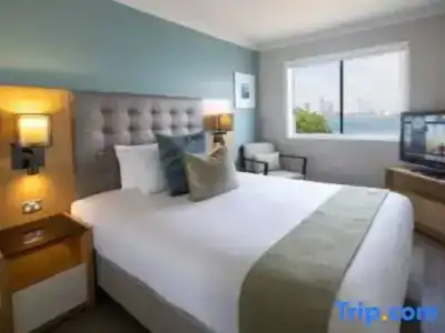 Sea World - 100