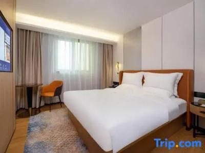 Elephant - 61