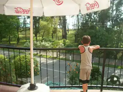 Magnolia Agmashenebeli - 14