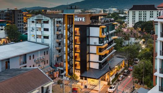 The Hive Chiang Mai - 10