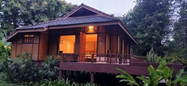 Baan Krating - Sha Plus - 64