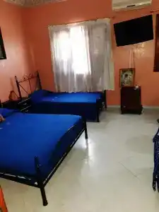 Hôtel Tijani - 60