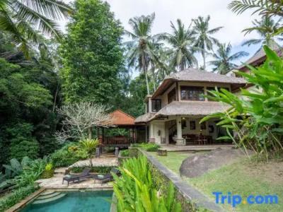 Villa Semana & Spa - 253