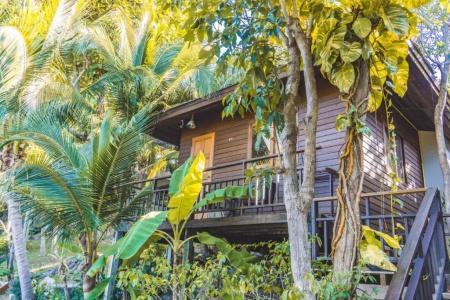 Chaweng Park Place - 223