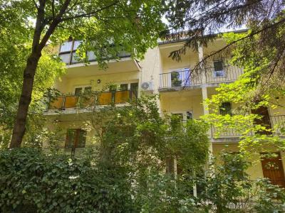 Gold Budapest - 47