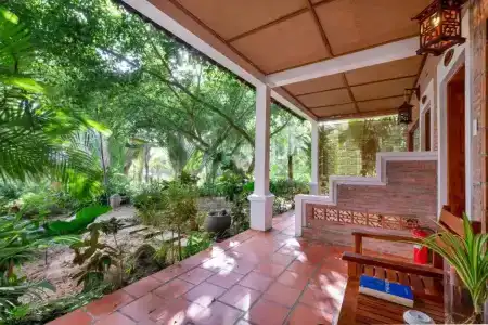 Coco Palm Beach Resort & Spa - 116