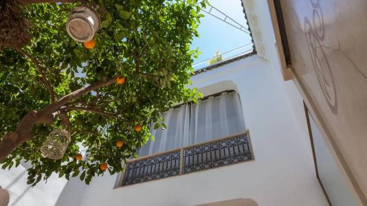Riad Les Orangers D'alilia - 0