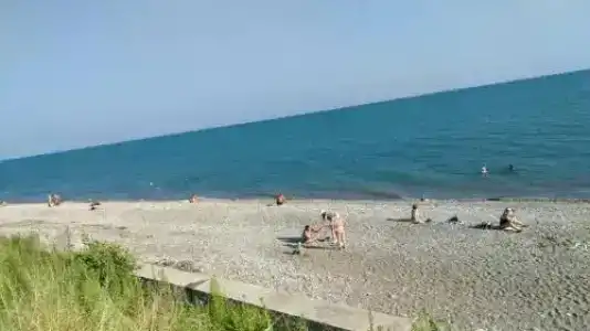 Кипарис - 6