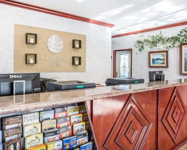 Comfort Inn Yosemite Area - 19