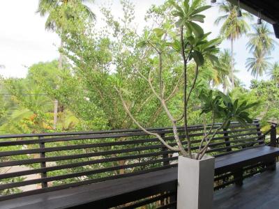 Panviman Garden - 10