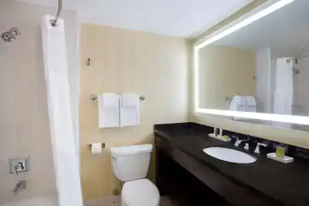 Hilton Downtown - 8