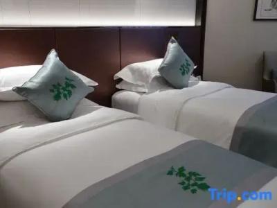 Beijing Henan Plaza - 10