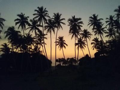 Ocean View - 15