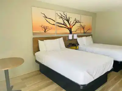 Days Inn by Wyndham Fort Hood - 4