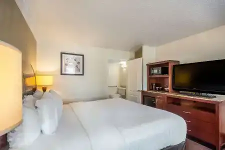 Clarion Inn & Suites Central Beach - 46