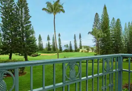 The Ritz-Carlton Maui, Kapalua - 68
