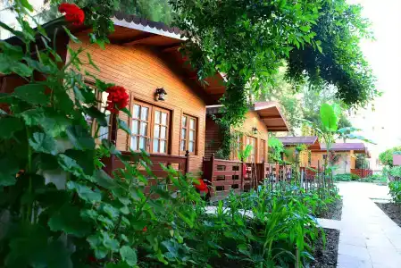 Sevkibey - 13