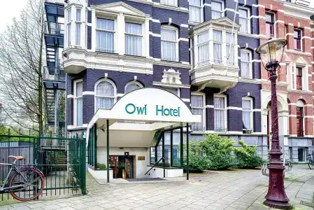 Owl - 0