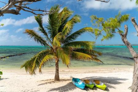 Koki Bonheur Beachfront By StayMauritius - 48