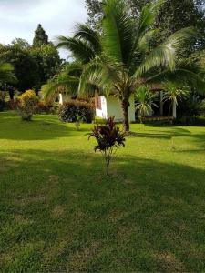 Phanom Bencha Mountain Resort - 0