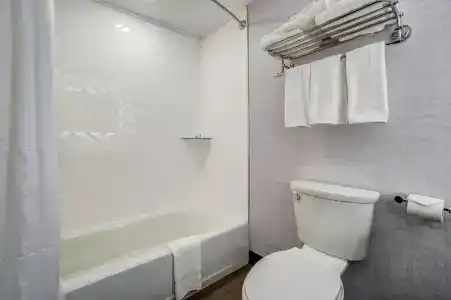 Holiday Inn - Ottawa, an IHG - 51