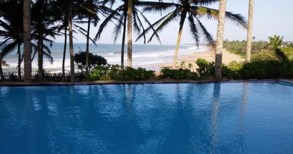 Turtle Bay - 8
