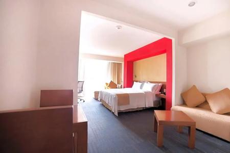 Holiday Inn Express Guadalajara Expo, An Ihg - 92