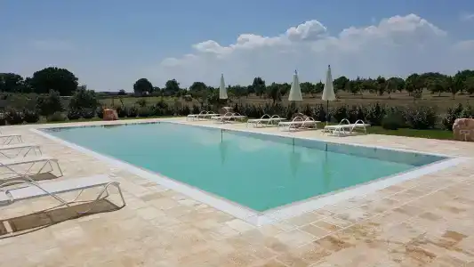B&B Masseria Peppeturro - 9