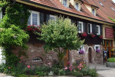 Gutshof-Waldknechtshof - 19