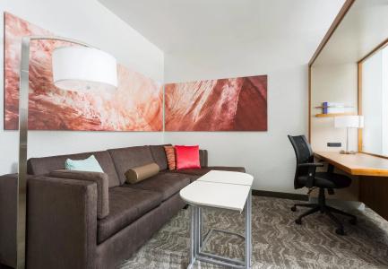 SpringHill Suites by Marriott San Diego Mission Valley - 5
