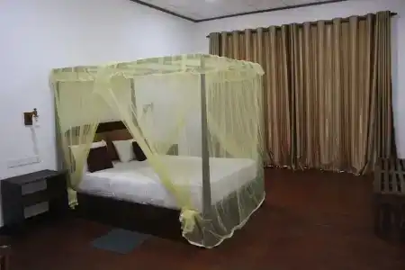 The Grand Yala - 2