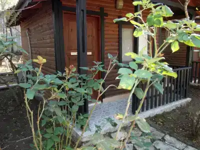 Koala Bungalows - 76