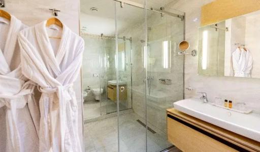 Best Western Premier Ark - 216