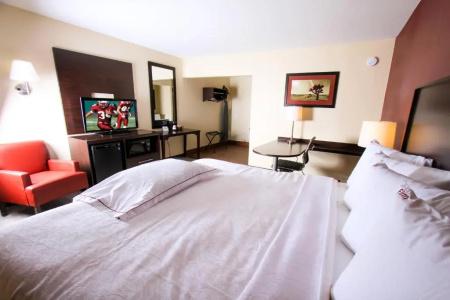 Red Roof Inn Plus+ – Grand Canyon - 79